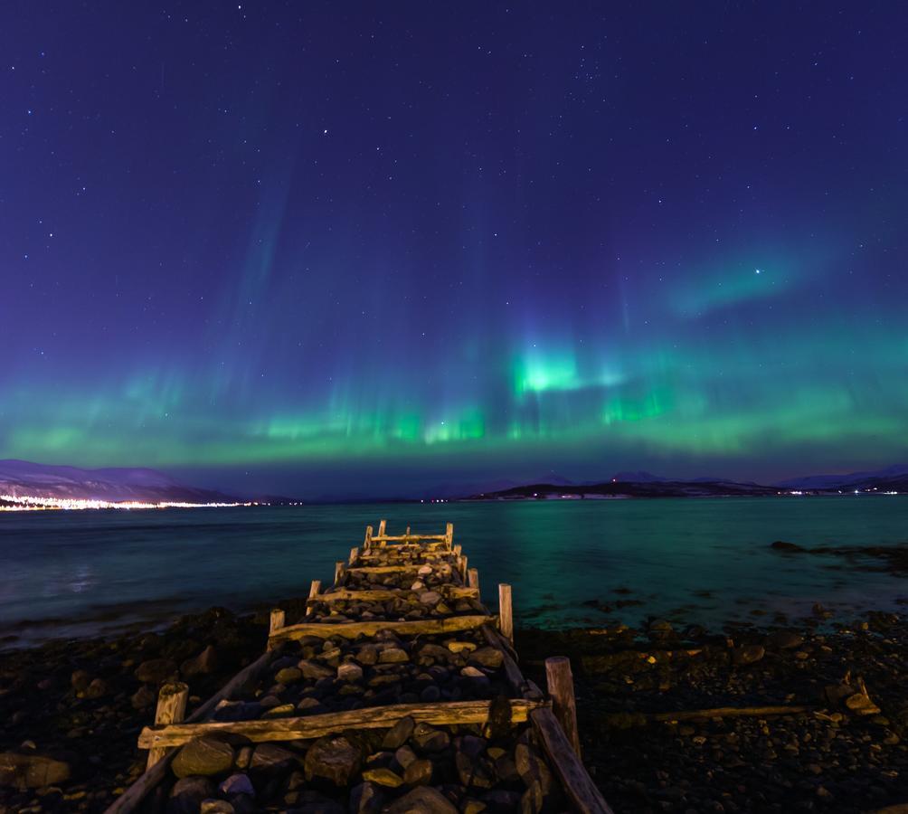 Vikran Vacation: Sea Fishing And Northern Lights Exteriér fotografie