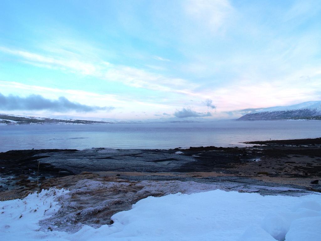 Vikran Vacation: Sea Fishing And Northern Lights Exteriér fotografie