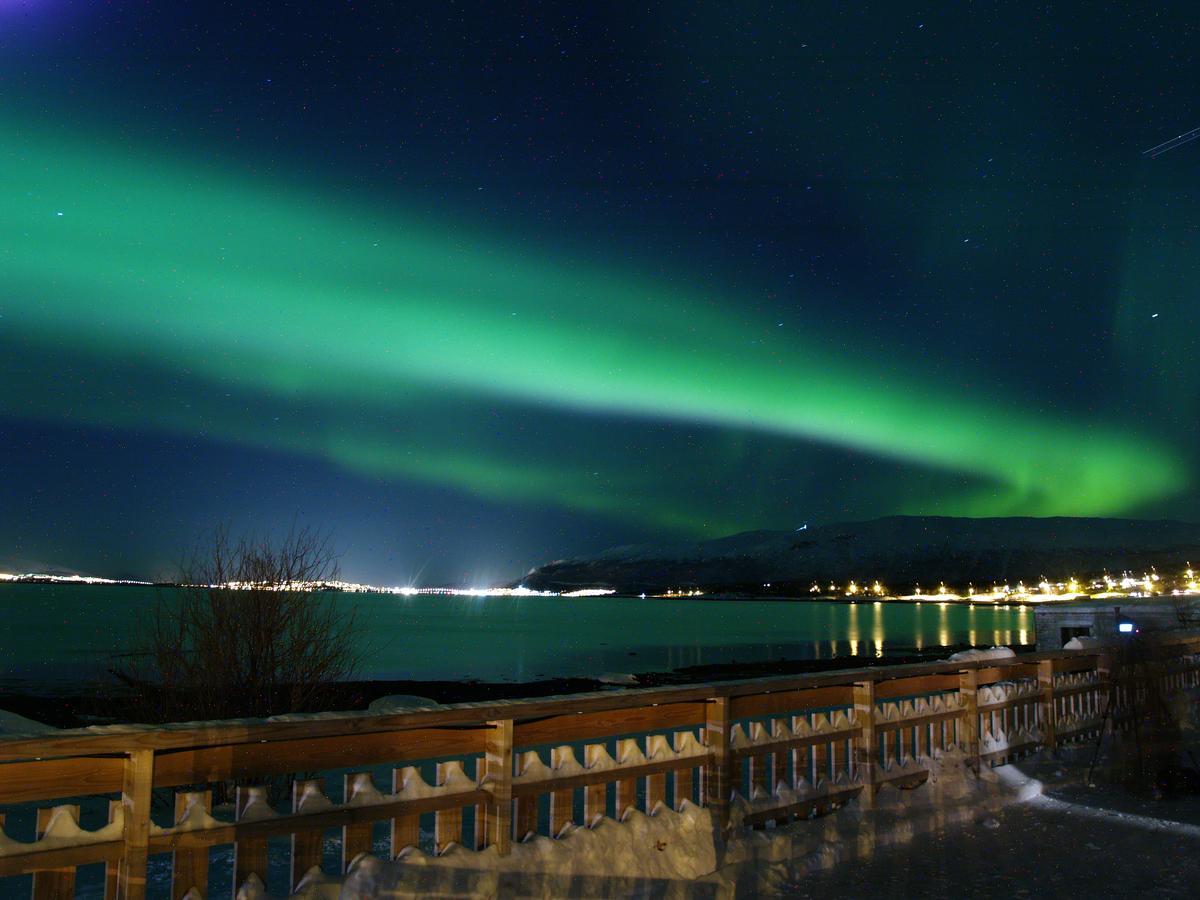 Vikran Vacation: Sea Fishing And Northern Lights Exteriér fotografie
