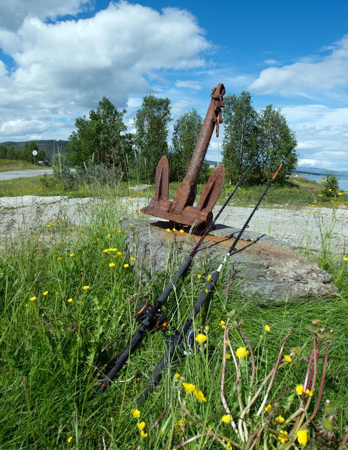Vikran Vacation: Sea Fishing And Northern Lights Exteriér fotografie