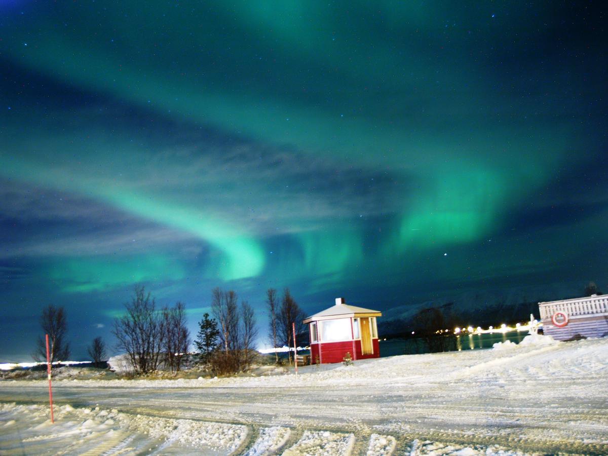 Vikran Vacation: Sea Fishing And Northern Lights Exteriér fotografie