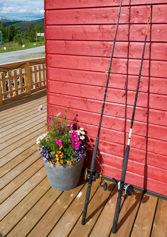 Vikran Vacation: Sea Fishing And Northern Lights Exteriér fotografie