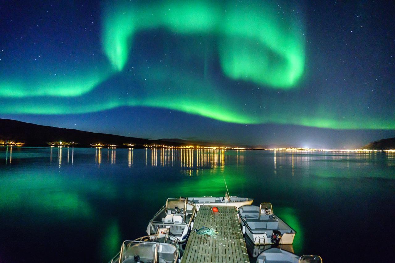 Vikran Vacation: Sea Fishing And Northern Lights Exteriér fotografie
