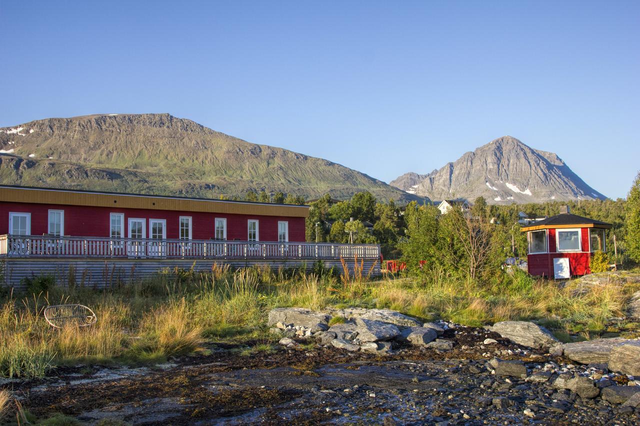 Vikran Vacation: Sea Fishing And Northern Lights Exteriér fotografie