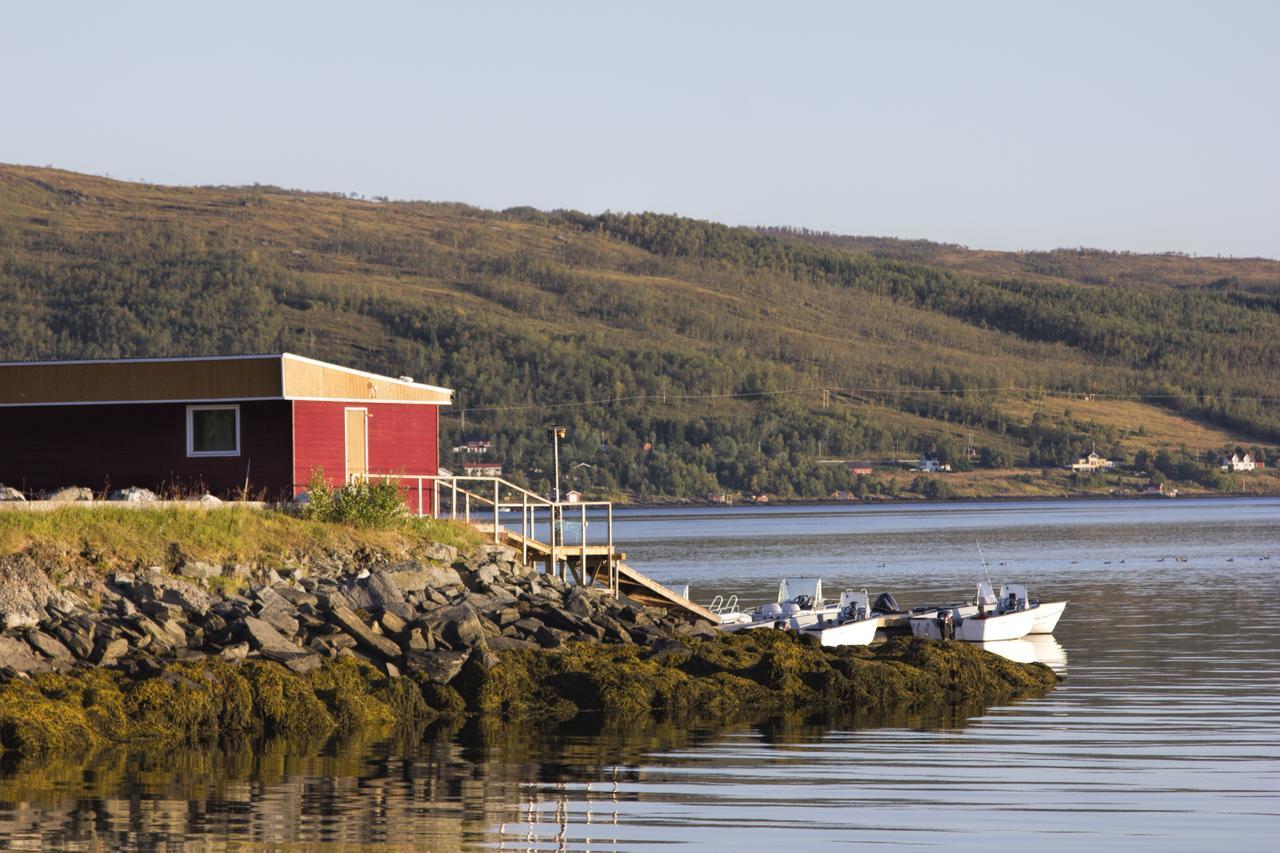 Vikran Vacation: Sea Fishing And Northern Lights Exteriér fotografie