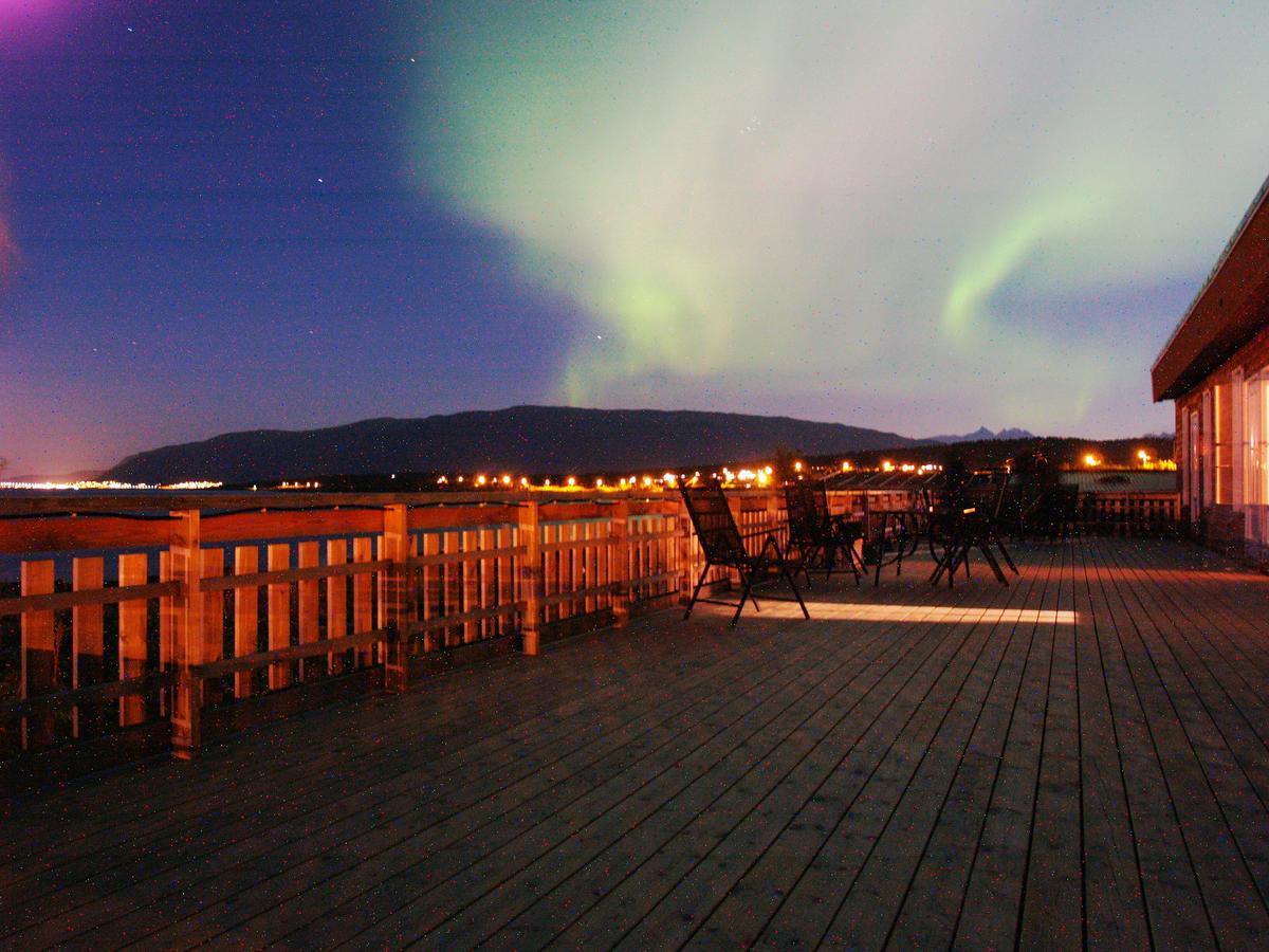 Vikran Vacation: Sea Fishing And Northern Lights Exteriér fotografie