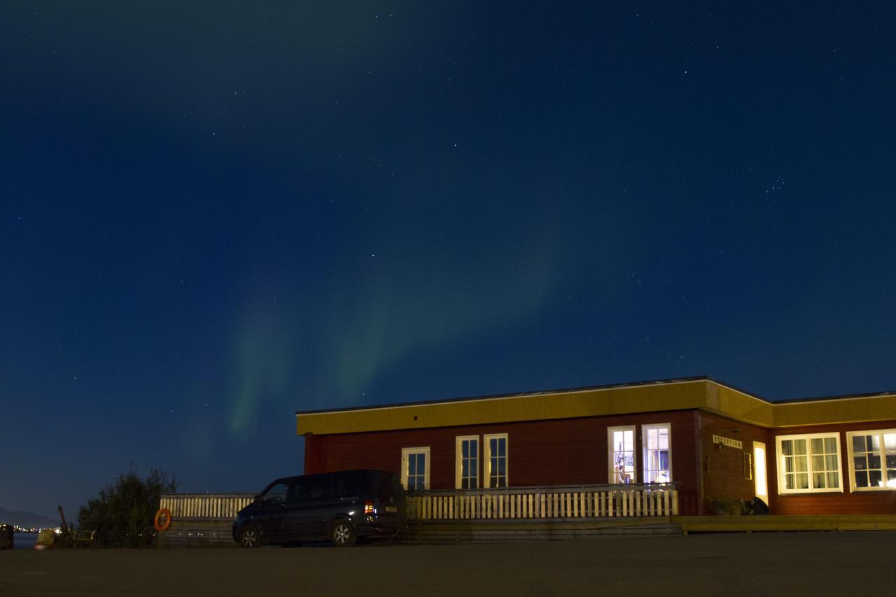 Vikran Vacation: Sea Fishing And Northern Lights Exteriér fotografie